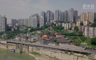 路方科技 解码文化自信的城市样本丨药脉文心拓新章——解码药都亳州的文化自信样本