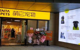 萌友网络科技有限公司 化身猫狗“平替” AI宠物抢食孤独经济