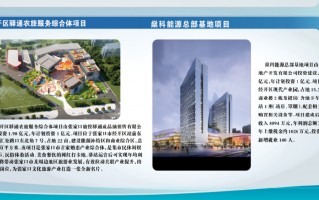 东健运动科技 2021年张家口市219项春季重点项目集中开工